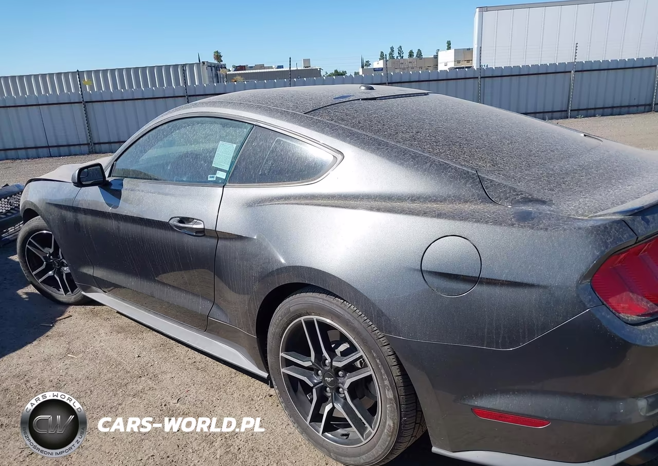 2019 Ford Mustang Ecoboost VIN:1FA6P8TH7K5194916 - 15