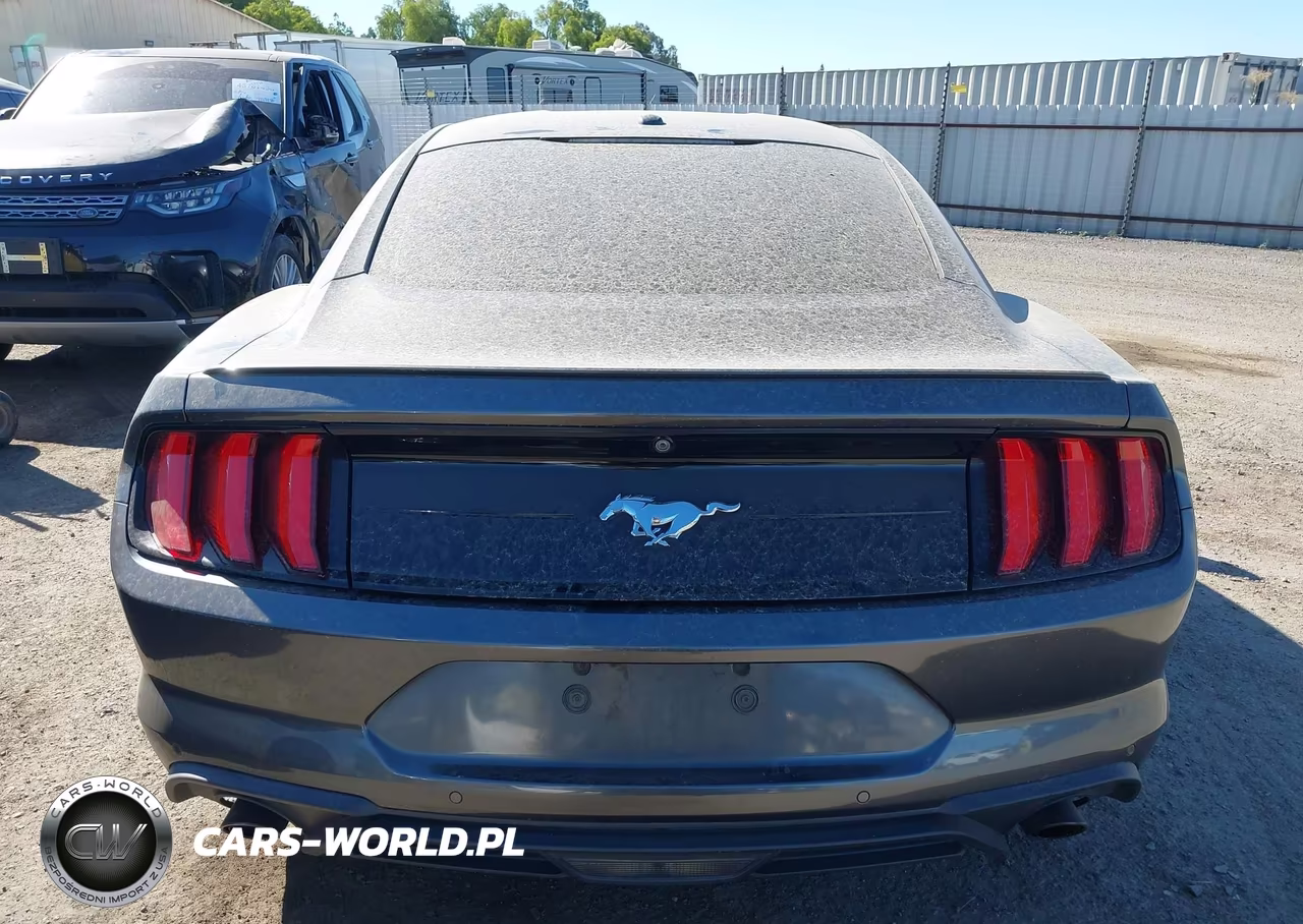 2019 Ford Mustang Ecoboost VIN:1FA6P8TH7K5194916 - 17