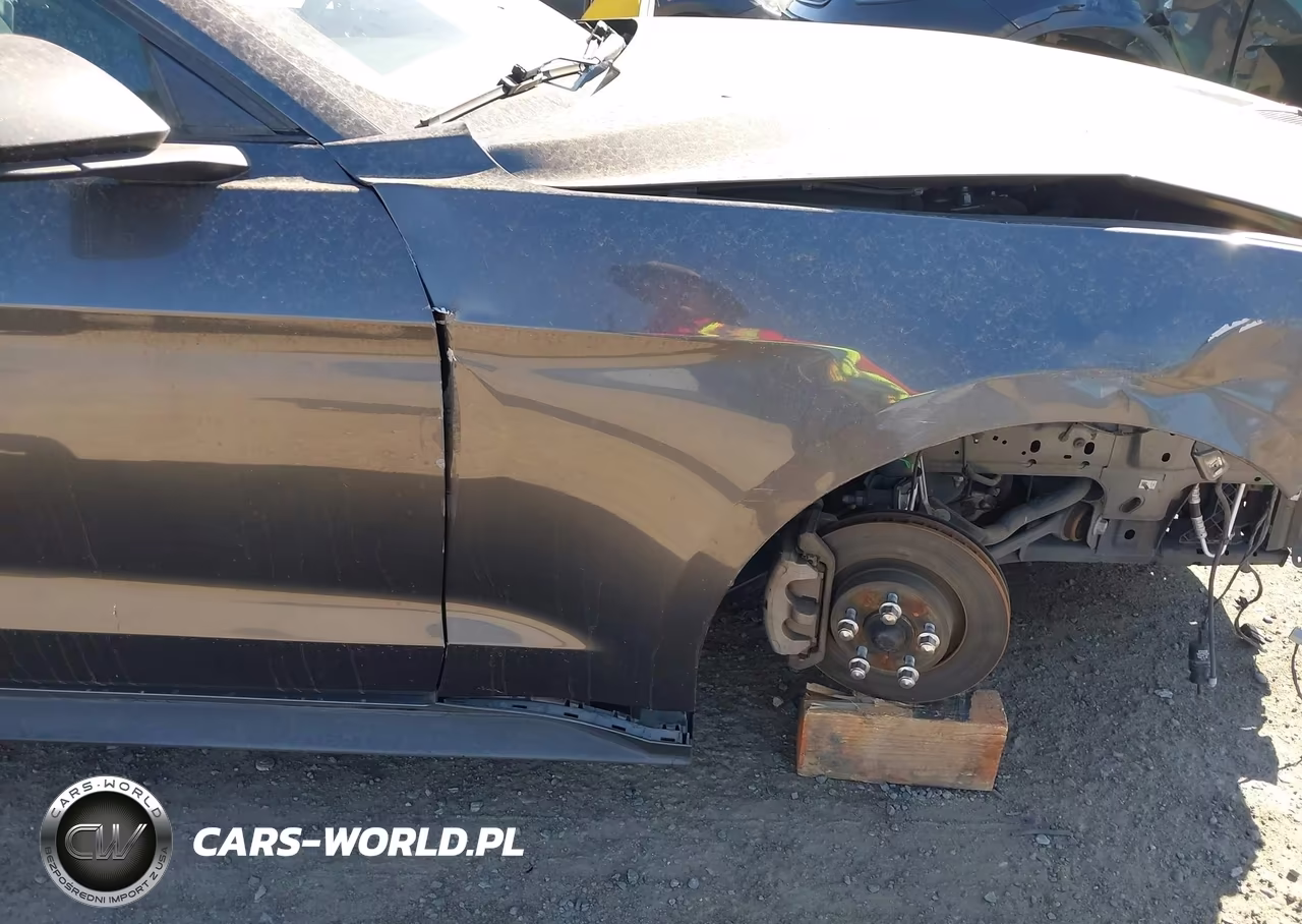 2019 Ford Mustang Ecoboost VIN:1FA6P8TH7K5194916 - 19