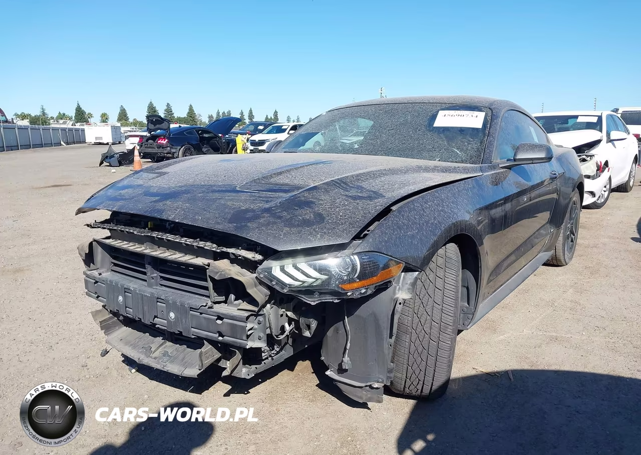 2019 Ford Mustang Ecoboost VIN:1FA6P8TH7K5194916 - 2