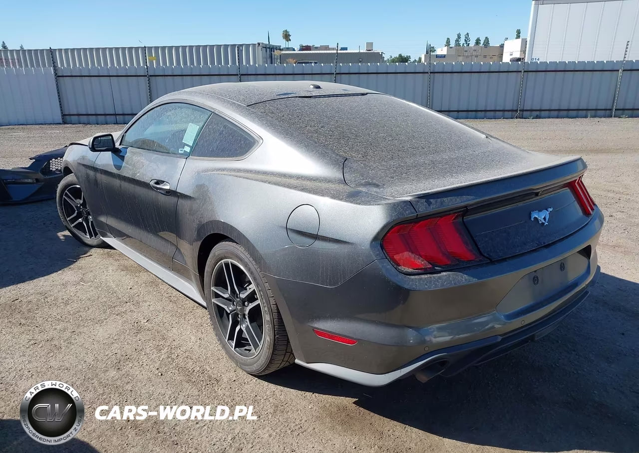 2019 Ford Mustang Ecoboost VIN:1FA6P8TH7K5194916 - 3
