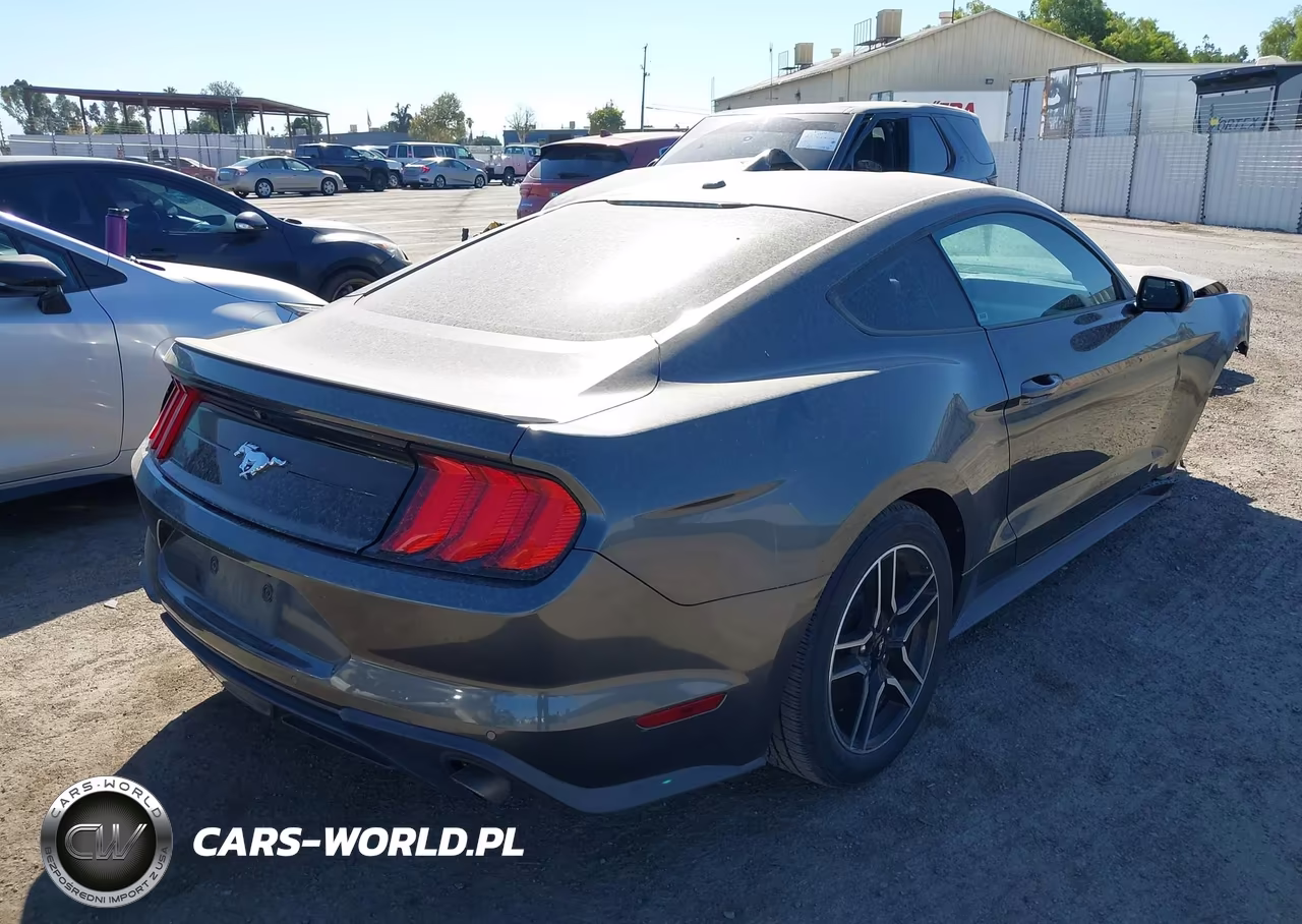 2019 Ford Mustang Ecoboost VIN:1FA6P8TH7K5194916 - 4