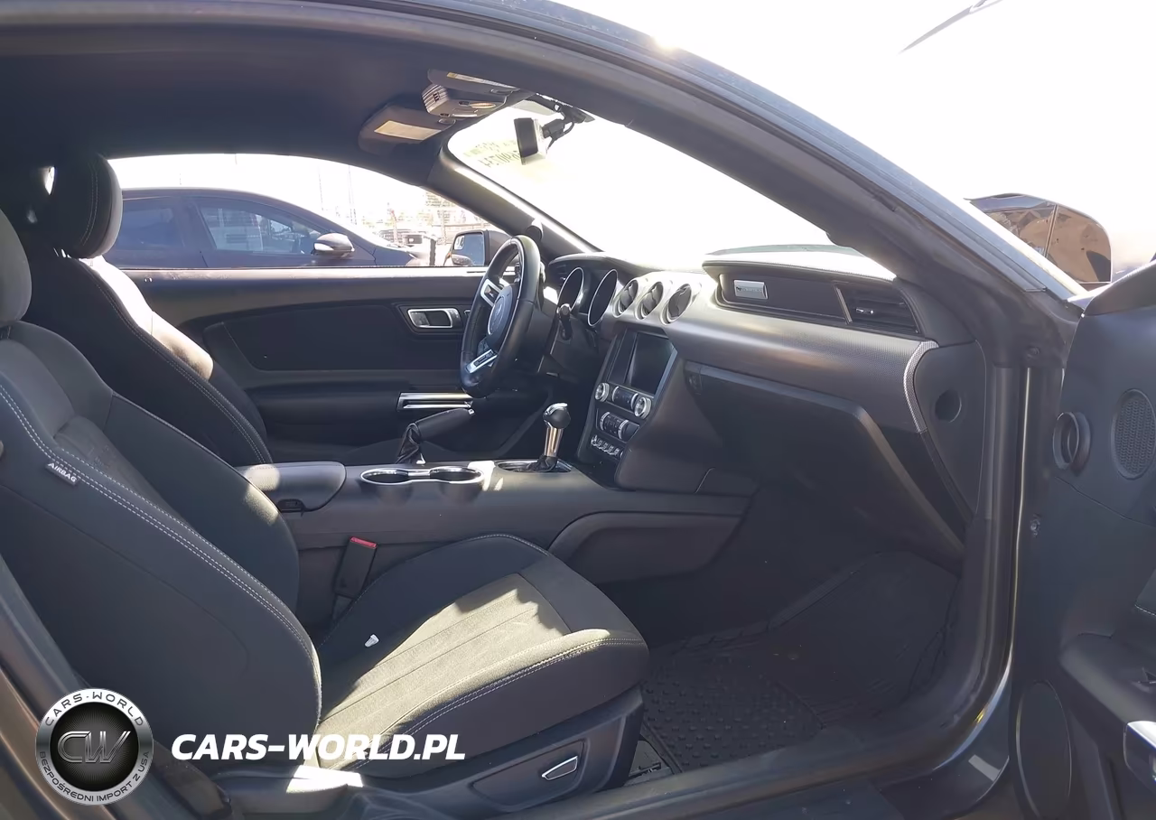 2019 Ford Mustang Ecoboost VIN:1FA6P8TH7K5194916 - 5