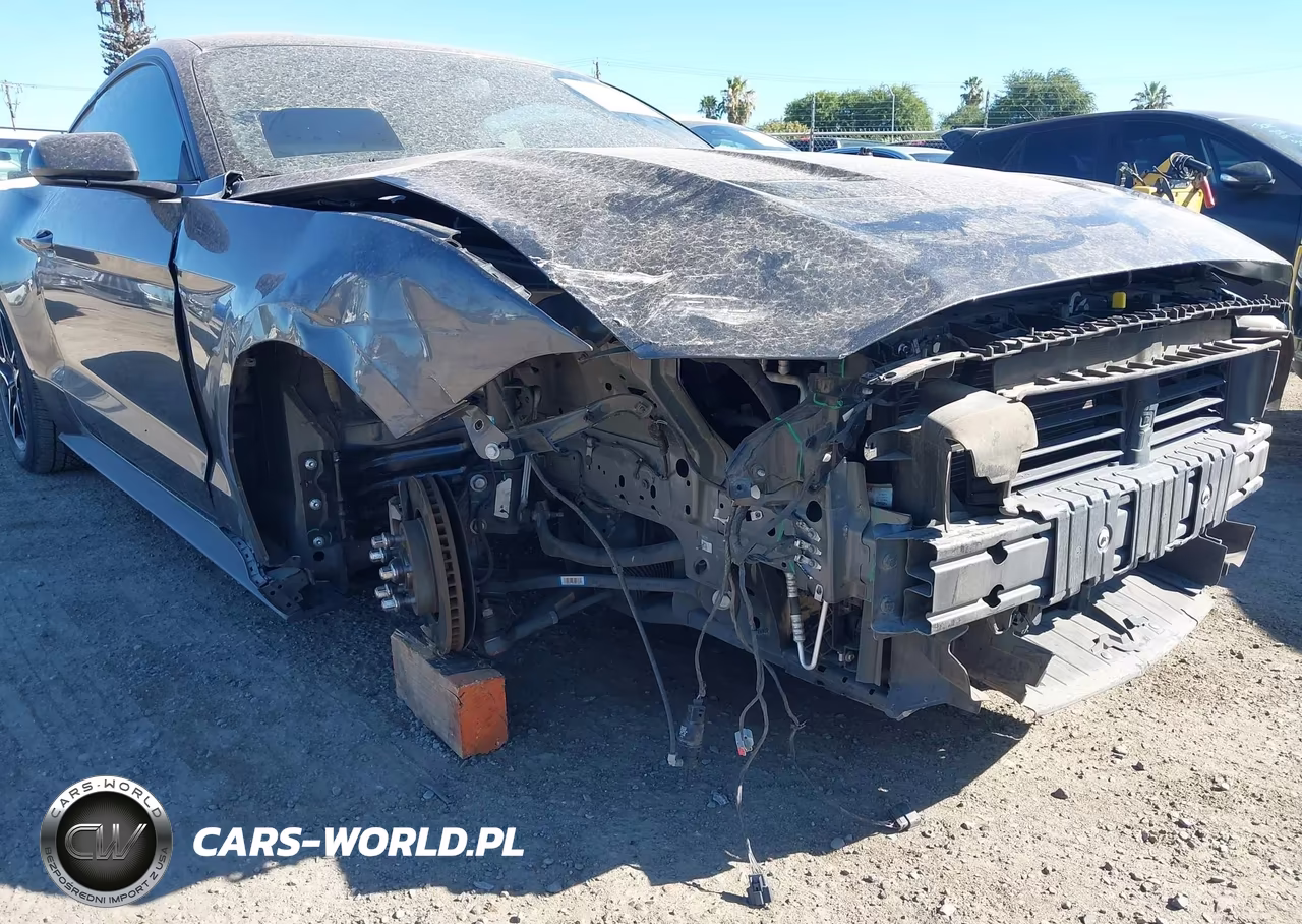 2019 Ford Mustang Ecoboost VIN:1FA6P8TH7K5194916 - 6