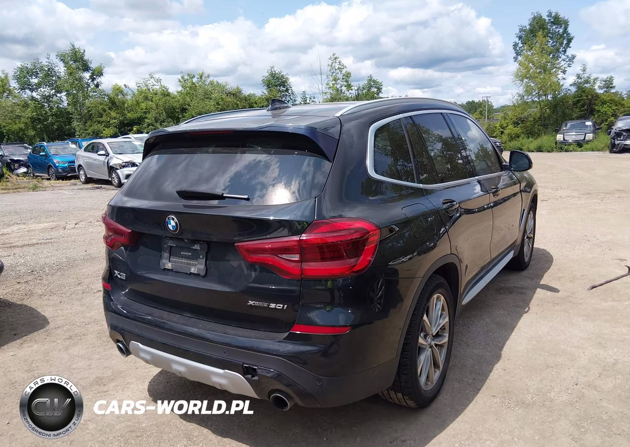 2019 BMW X3 xDrive30I VIN:5UXTR9C54KLR04643 - 4