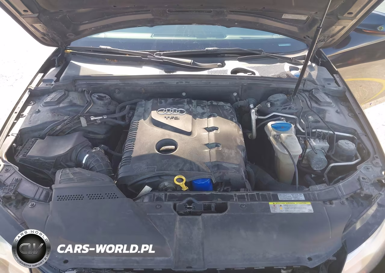 2010 Audi A4 2.0T Premium VIN:WAUKFAFL2AN047367 - 10