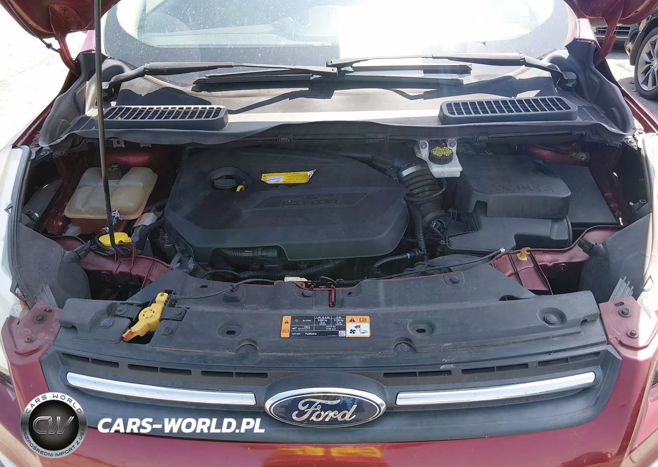 2016 Ford Escape Se VIN:1FMCU0GX9GUC05593 - 10