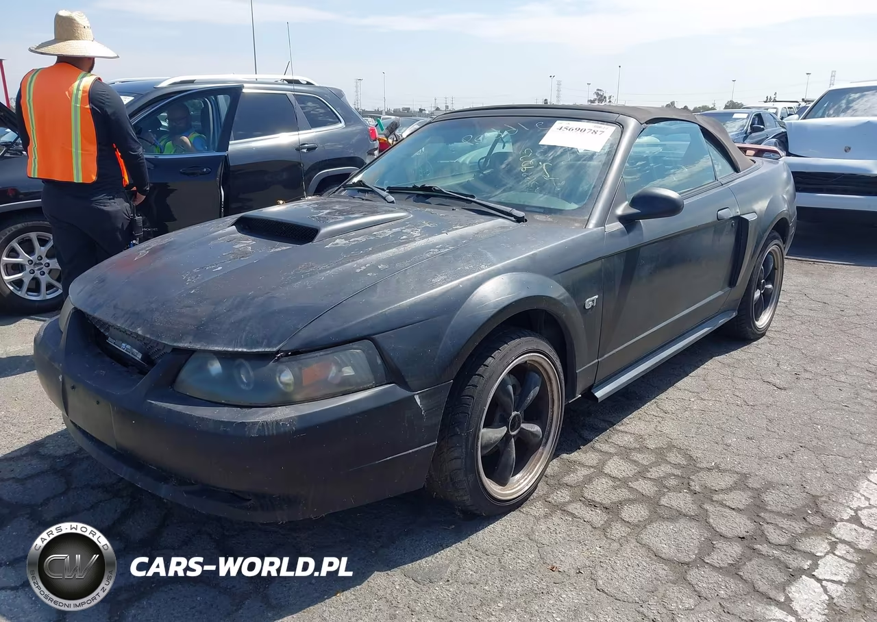 2001 Ford Mustang Gt VIN:1FAFP45X11F263718 - 6