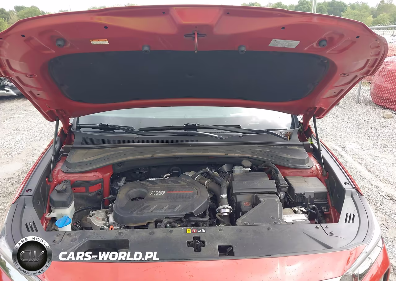 2019 Hyundai Santa Fe Ultimate 2.0T VIN:5NMS53AA8KH066138 - 10