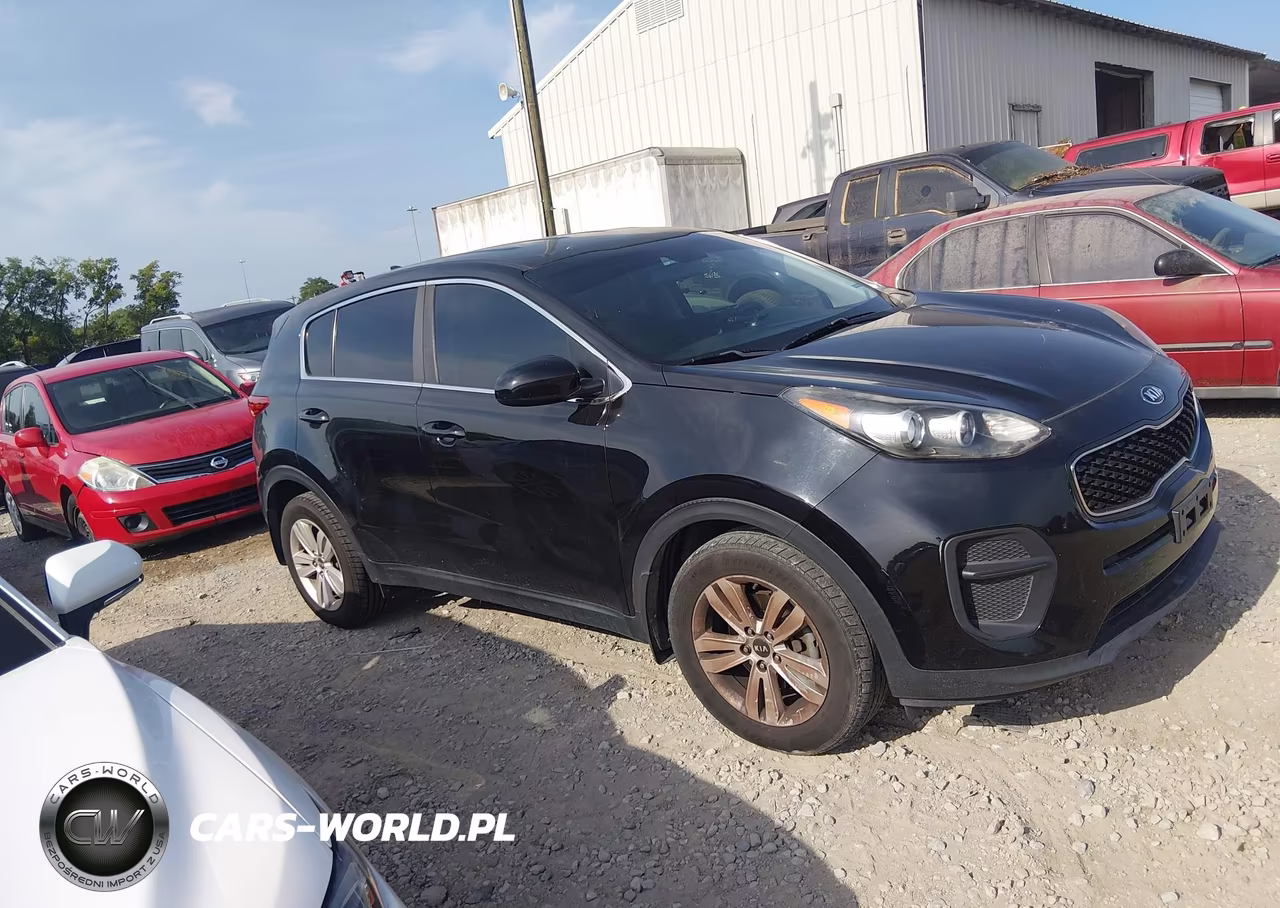 2017 Kia Sportage Lx VIN:KNDPM3AC1H7295724 - 12