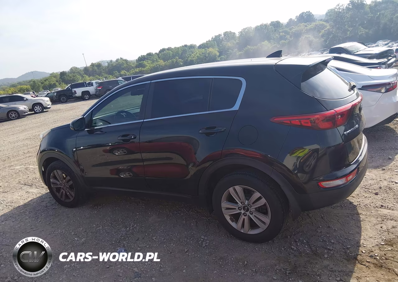 2017 Kia Sportage Lx VIN:KNDPM3AC1H7295724 - 13