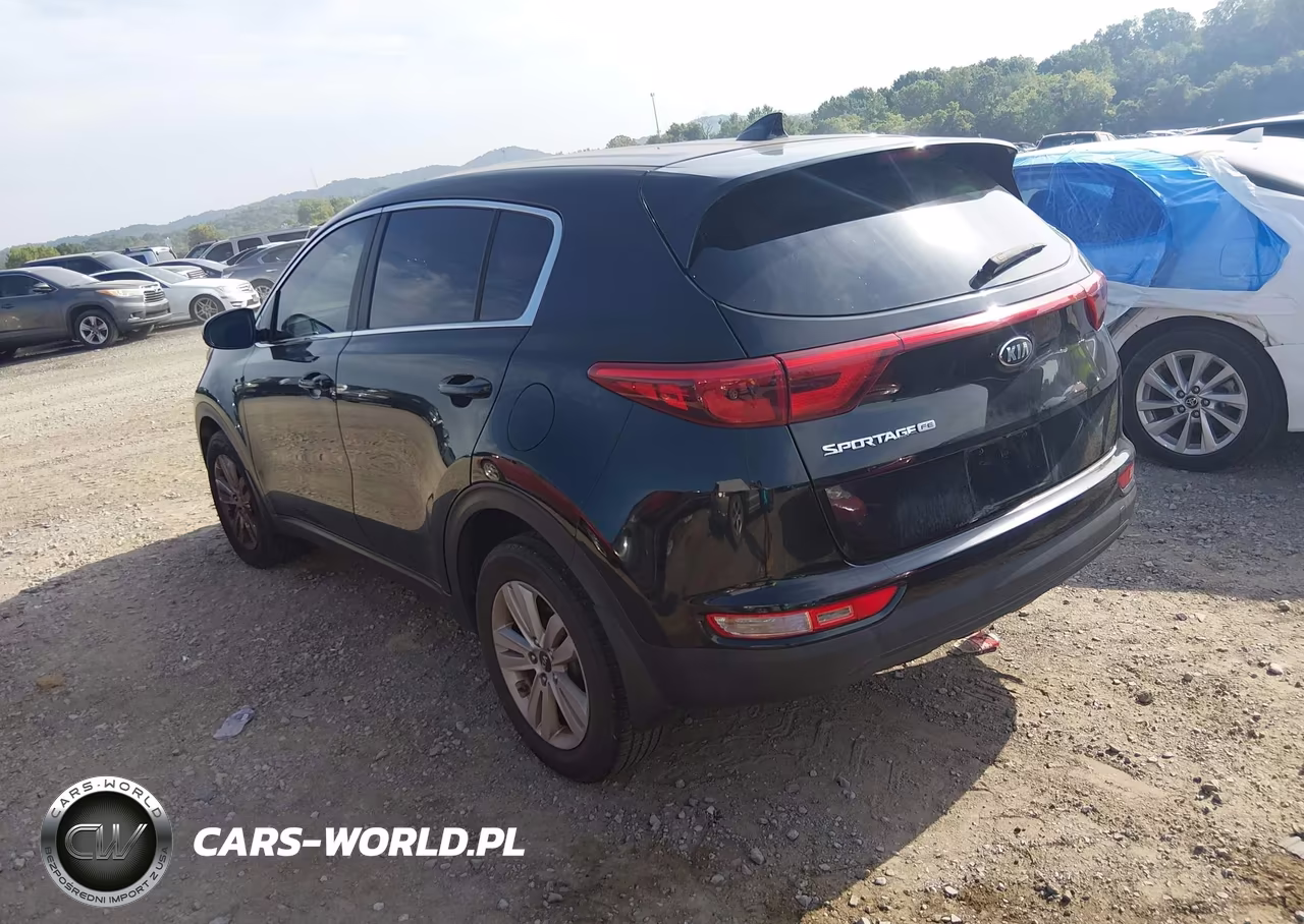 2017 Kia Sportage Lx VIN:KNDPM3AC1H7295724 - 3