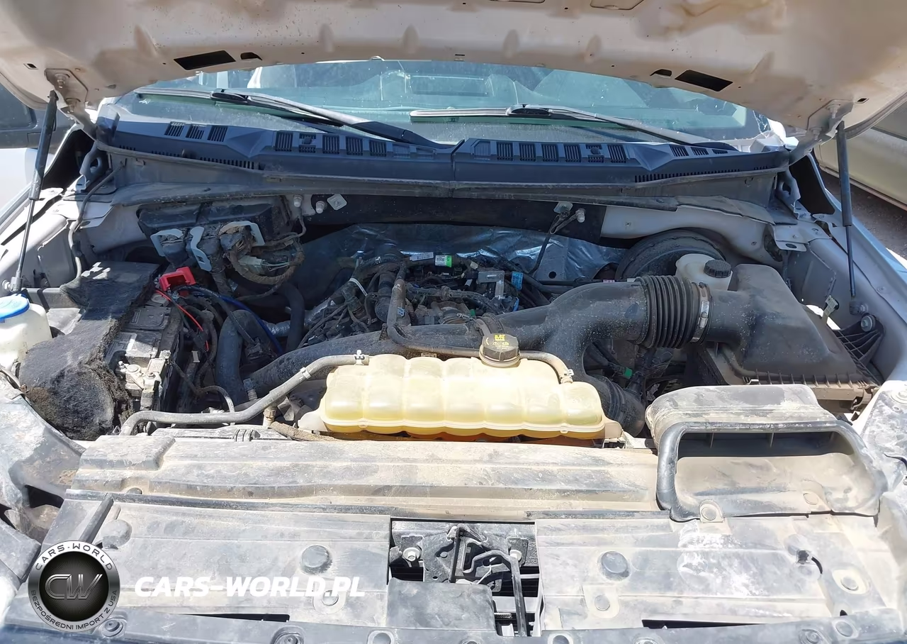 2019 Ford F-150 Xl VIN:1FTEW1CP2KKF01255 - 10