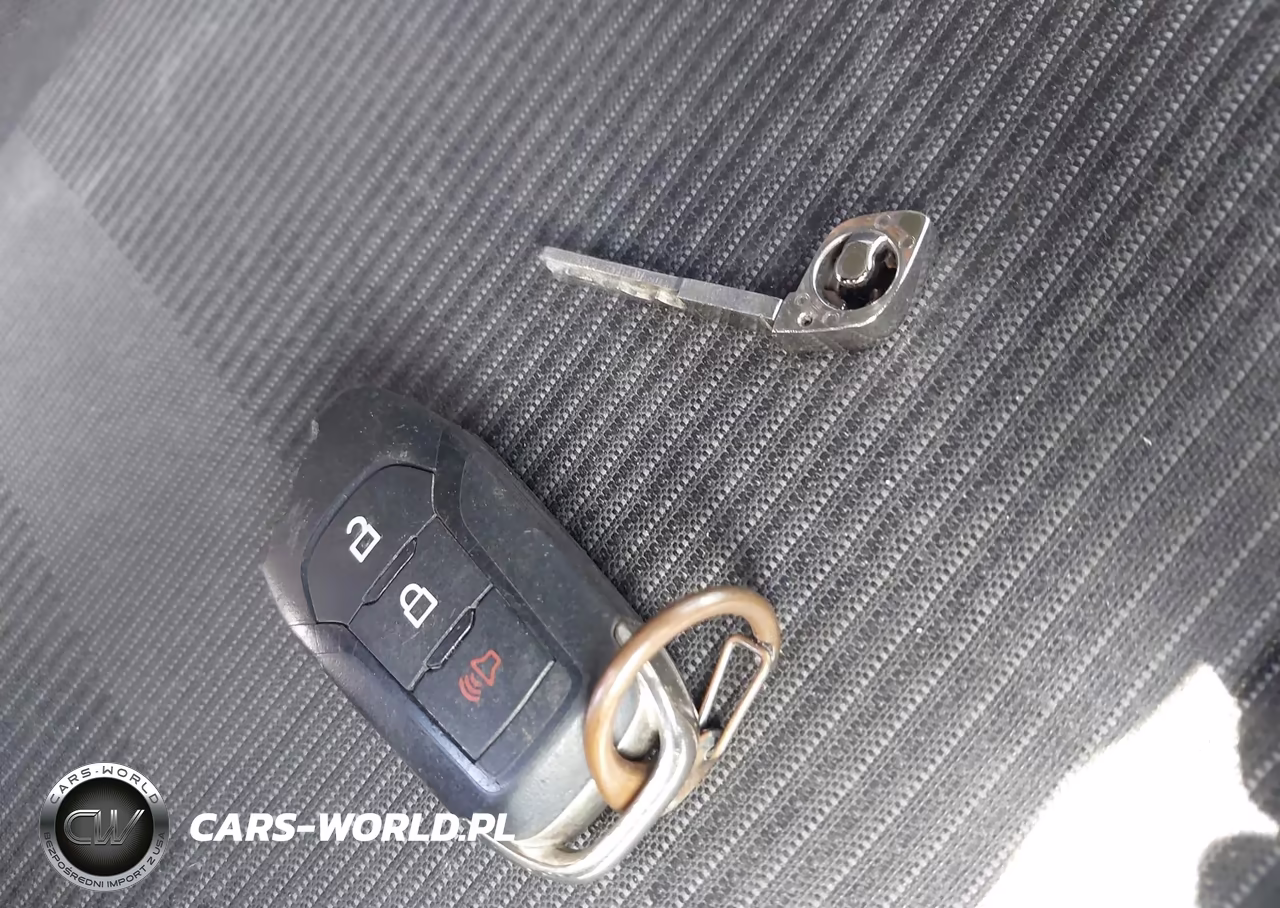 2019 Ford F-150 Xl VIN:1FTEW1CP2KKF01255 - 11