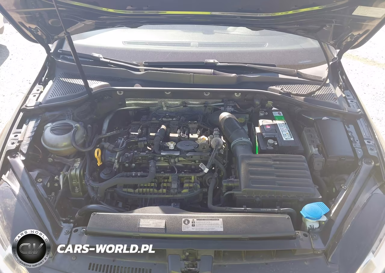 2015 Volkswagen Golf Gti 2.0T Autobahn 4-Door VIN:3VW4T7AU6FM080720 - 10