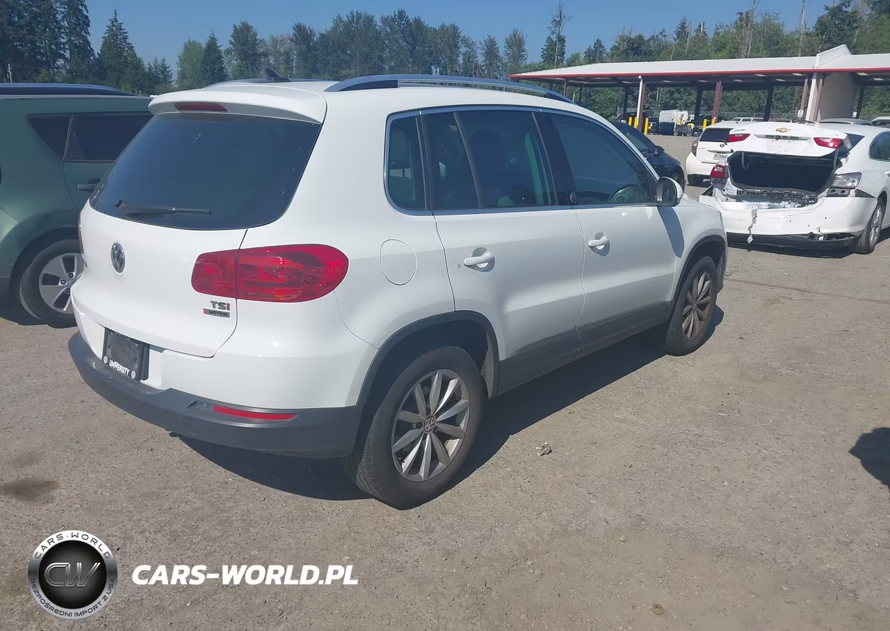 2017 Volkswagen Tiguan 2.0T Wolfsburg Edition VIN:WVGSV7AX8HW503813 - 4