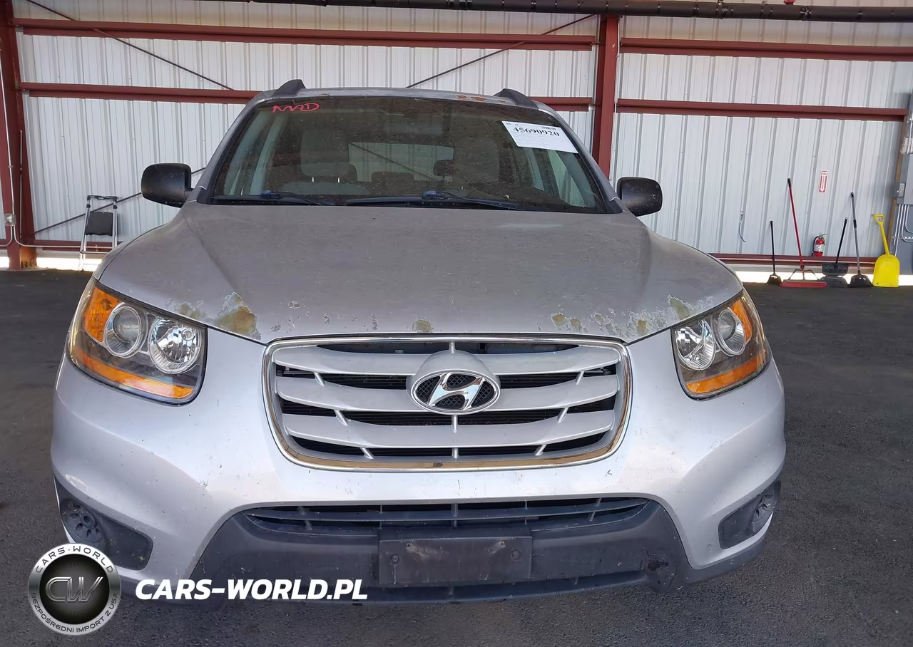 2010 Hyundai Santa Fe Gls VIN:5NMSG3AB5AH335018 - 6