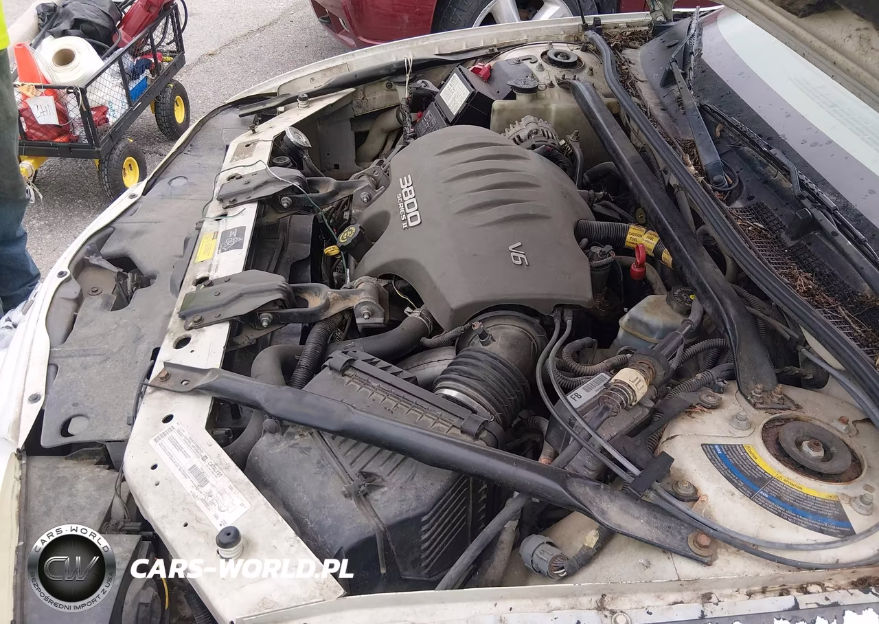 2001 Chevrolet Monte Carlo Ss VIN:2G1WX15K319245302 - 10