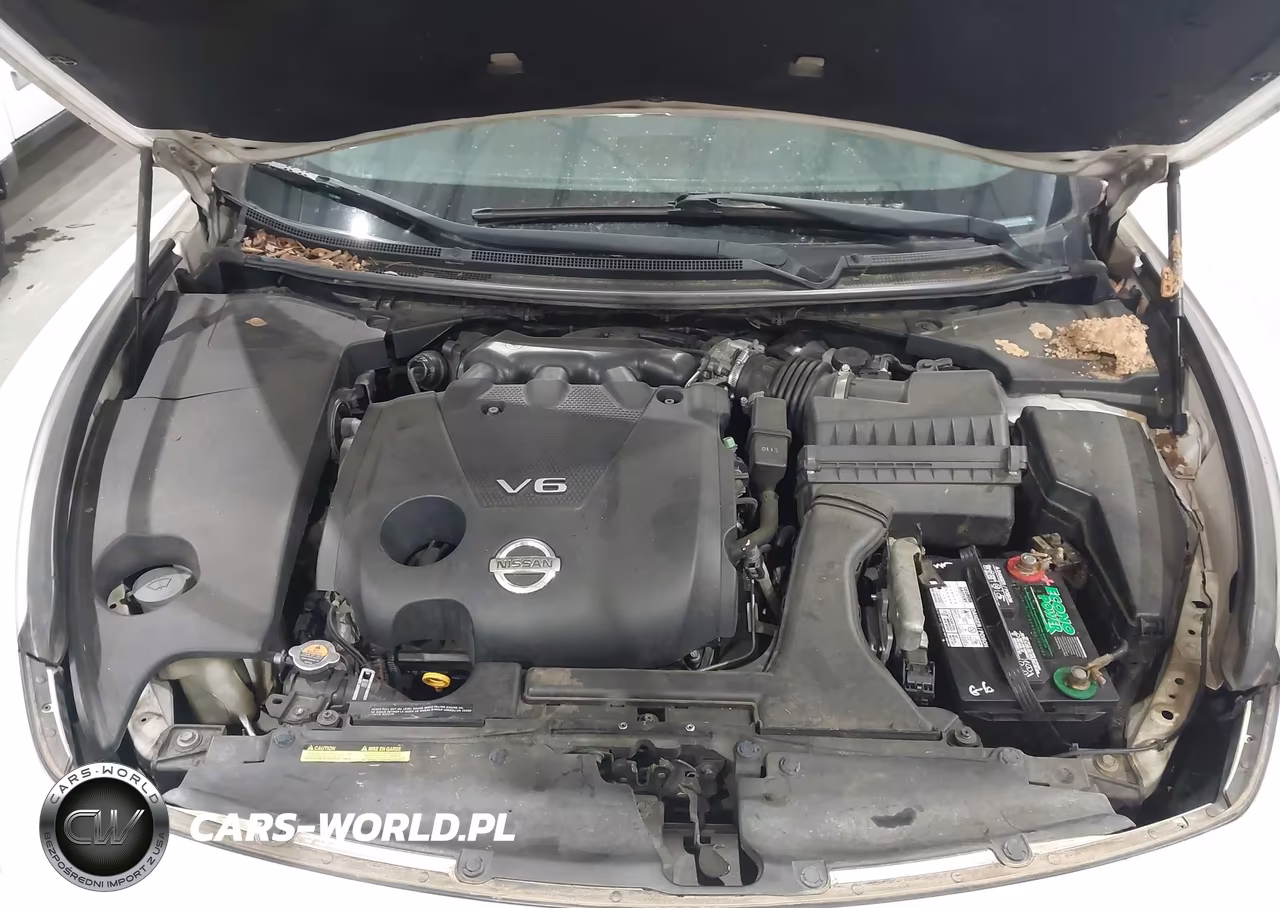 2013 Nissan Maxima 3.5 Sv VIN:1N4AA5AP6DC845536 - 10