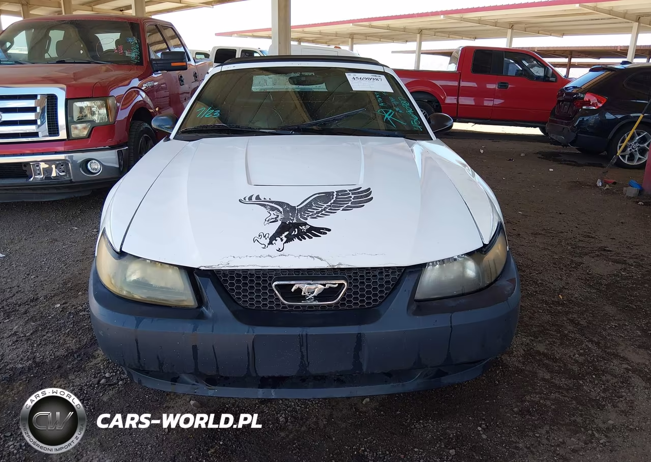2004 Ford Mustang VIN:1FAFP44664F147637 - 6