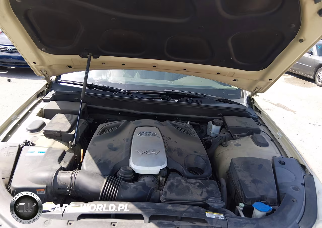 2011 Hyundai Genesis 4.6 VIN:KMHGC4DF9BU132080 - 10