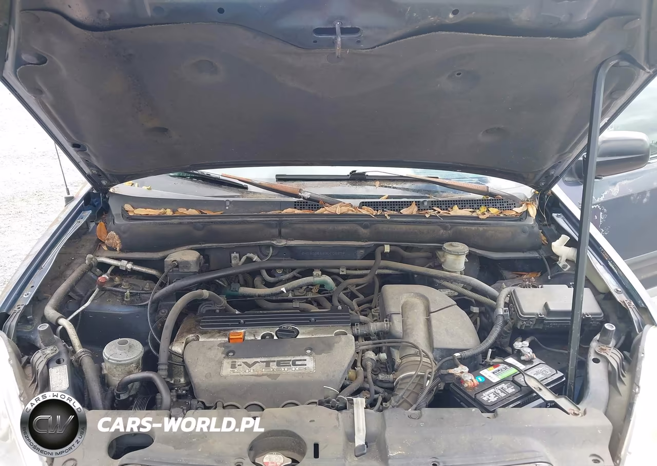 2003 Honda Cr-V Lx VIN:SHSRD68443U106679 - 10