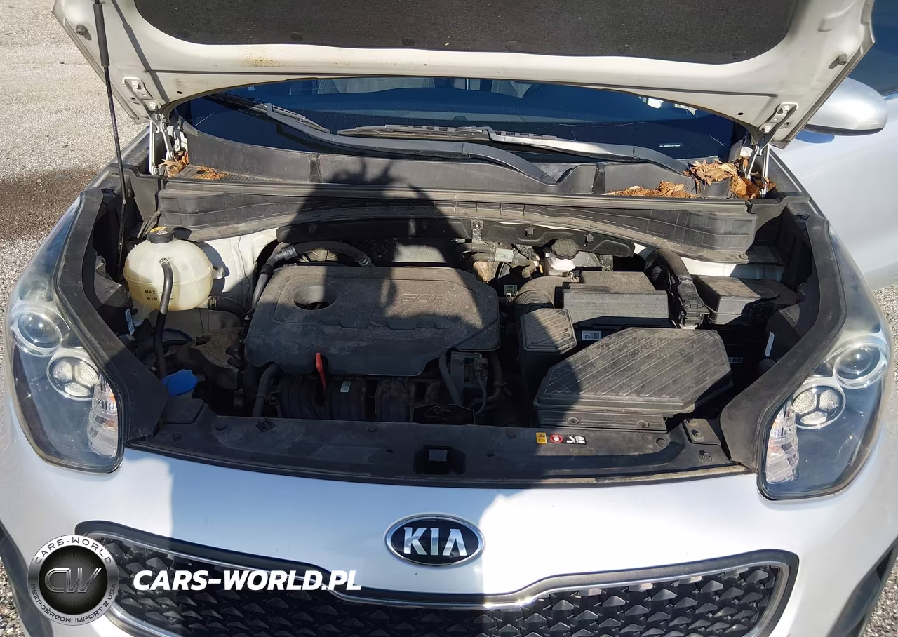 2019 Kia Sportage Lx VIN:KNDPM3ACXK7580638 - 10