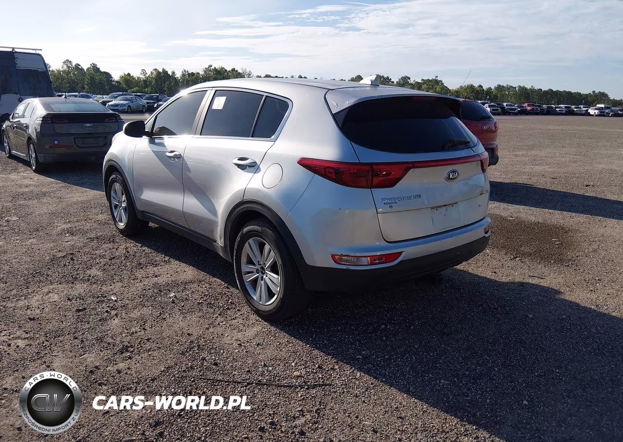 2019 Kia Sportage Lx VIN:KNDPM3ACXK7580638 - 3