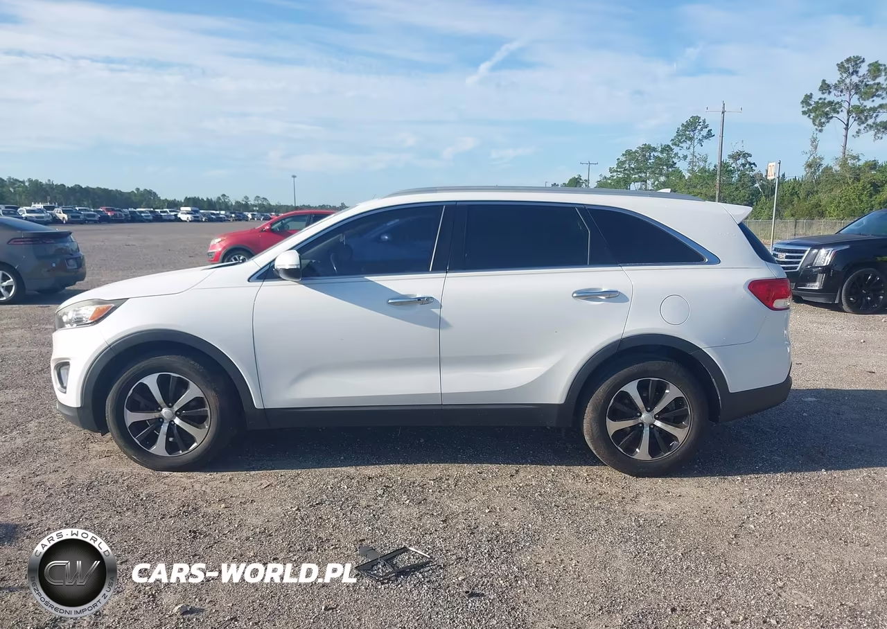 2016 Kia Sorento 2.0T Ex VIN:5XYPH4A17GG044636 - 14