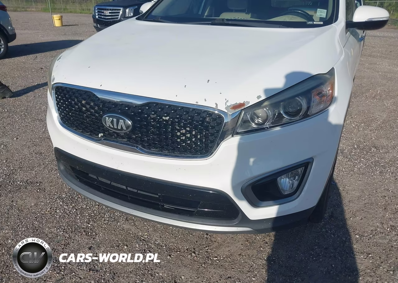 2016 Kia Sorento 2.0T Ex VIN:5XYPH4A17GG044636 - 6