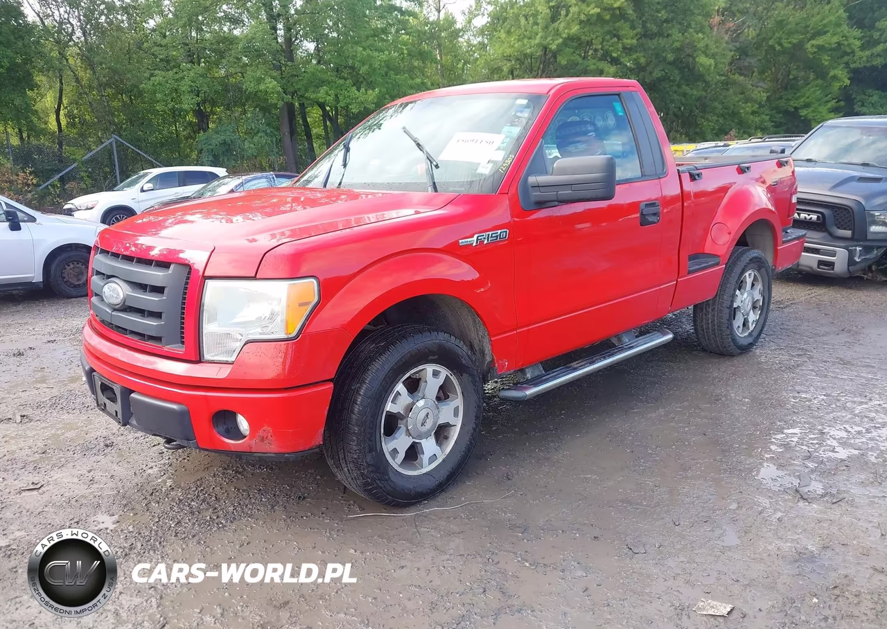 2009 Ford F-150 Stx-Xlt VIN:1FTRF04819KC91843 - 2
