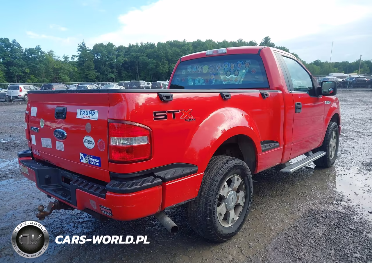 2009 Ford F-150 Stx-Xlt VIN:1FTRF04819KC91843 - 8