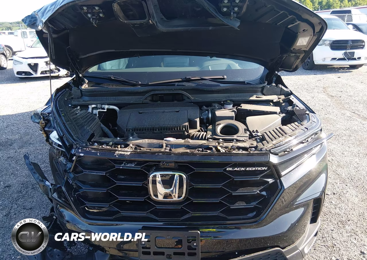2025 Honda Pilot Black Edition VIN:5FNYG1H97SB160582 - 10