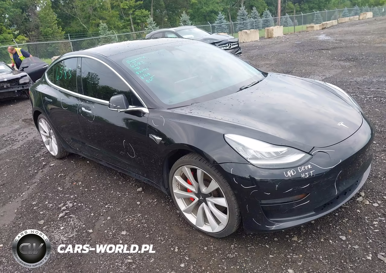 2019 Tesla Model 3 Long Range-Performance – zdjęcie 1 z 10
