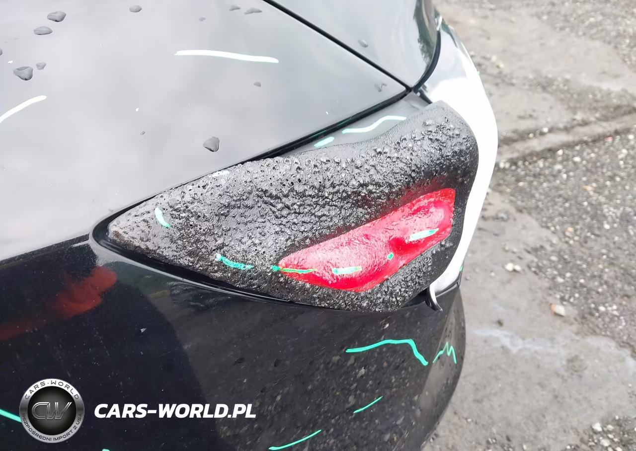 2019 Tesla Model 3 Long Range-Performance VIN:5YJ3E1EB7KF441580 - 6