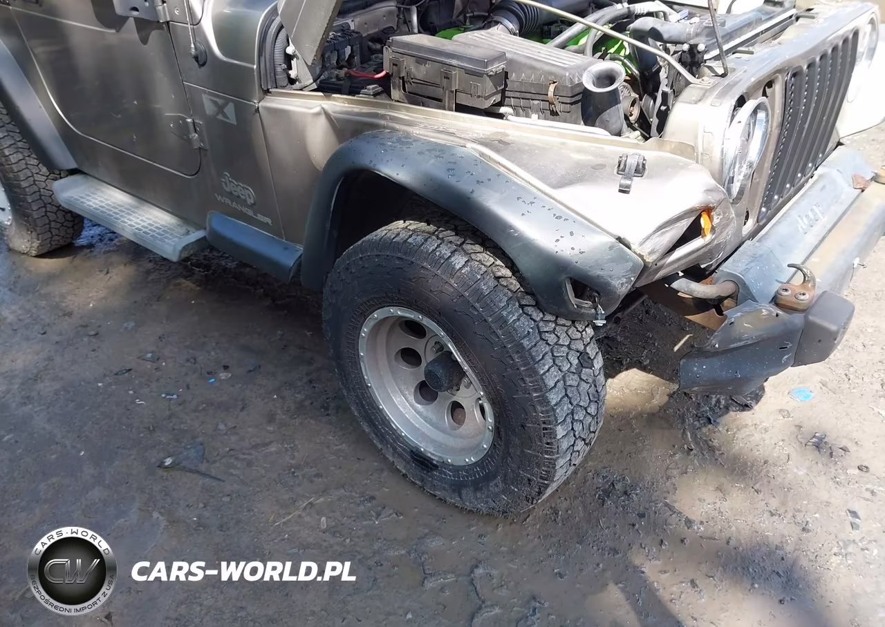 JEEP WRANGLER X VIN:1J4FA39S54P793073 - 6