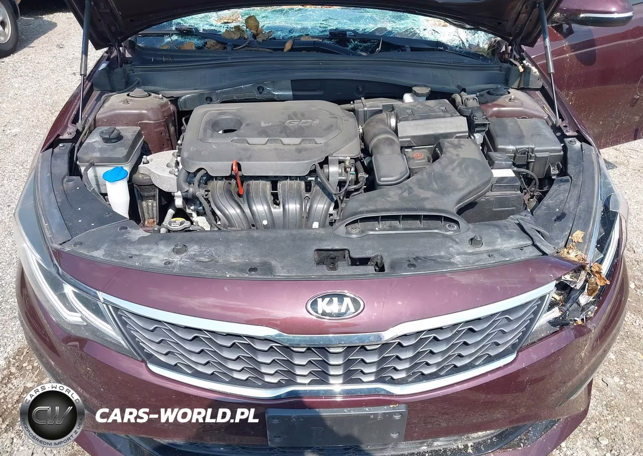 2019 Kia Optima Lx VIN:5XXGT4L39KG339893 - 10