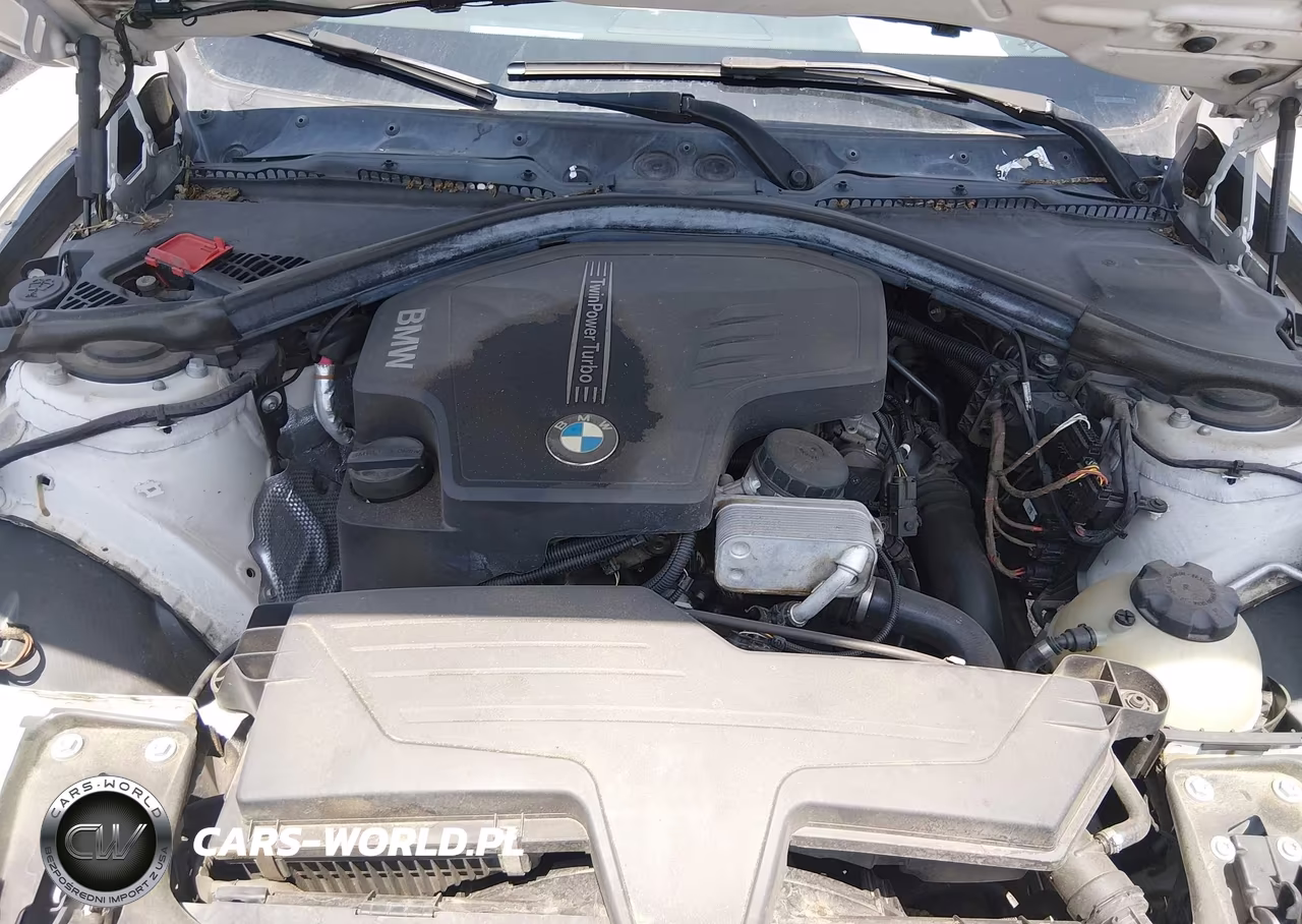 2013 BMW 320I VIN:WBA3B1C50DF461817 - 10