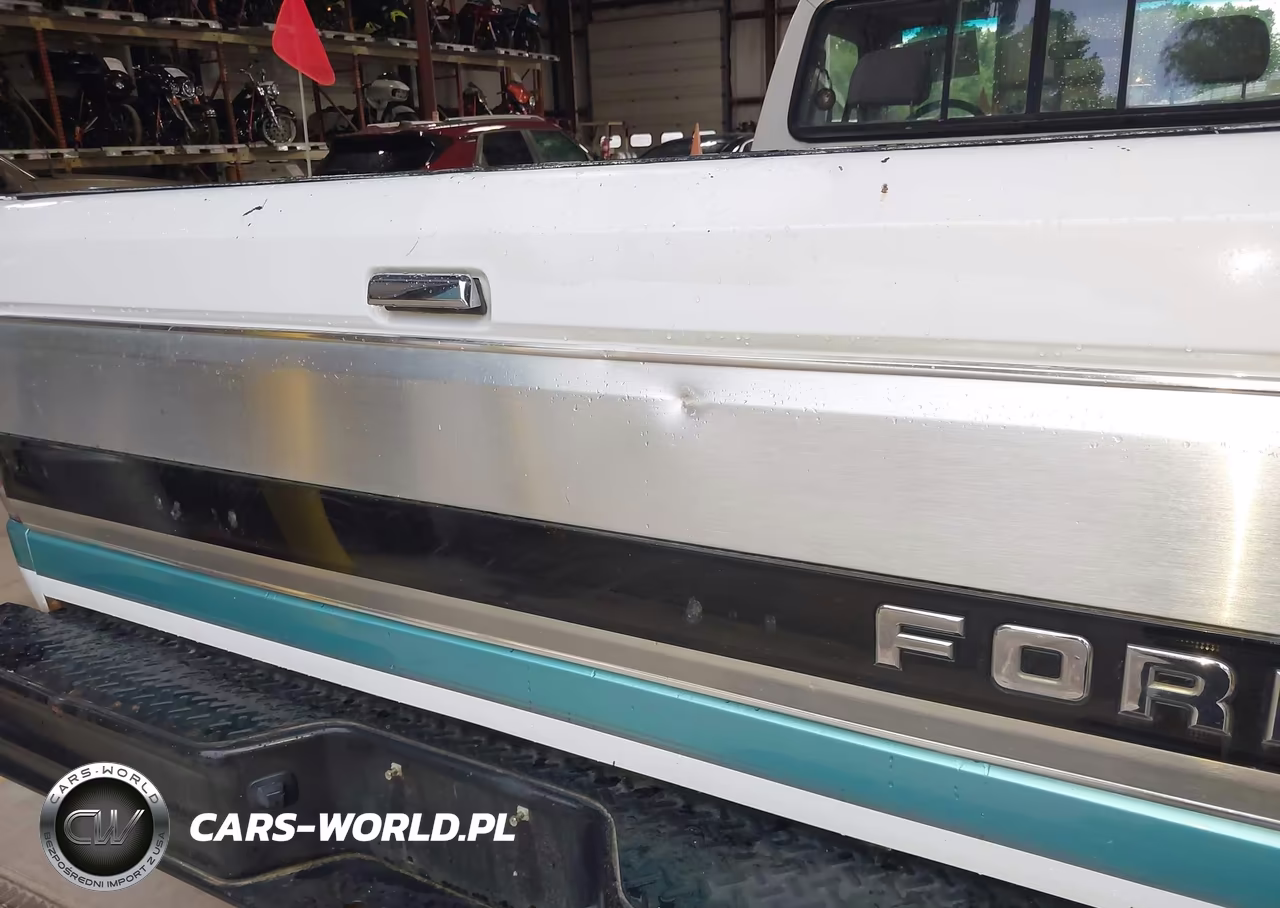 1994 Ford F150 VIN:1FTEF14N2RLA47493 - 13
