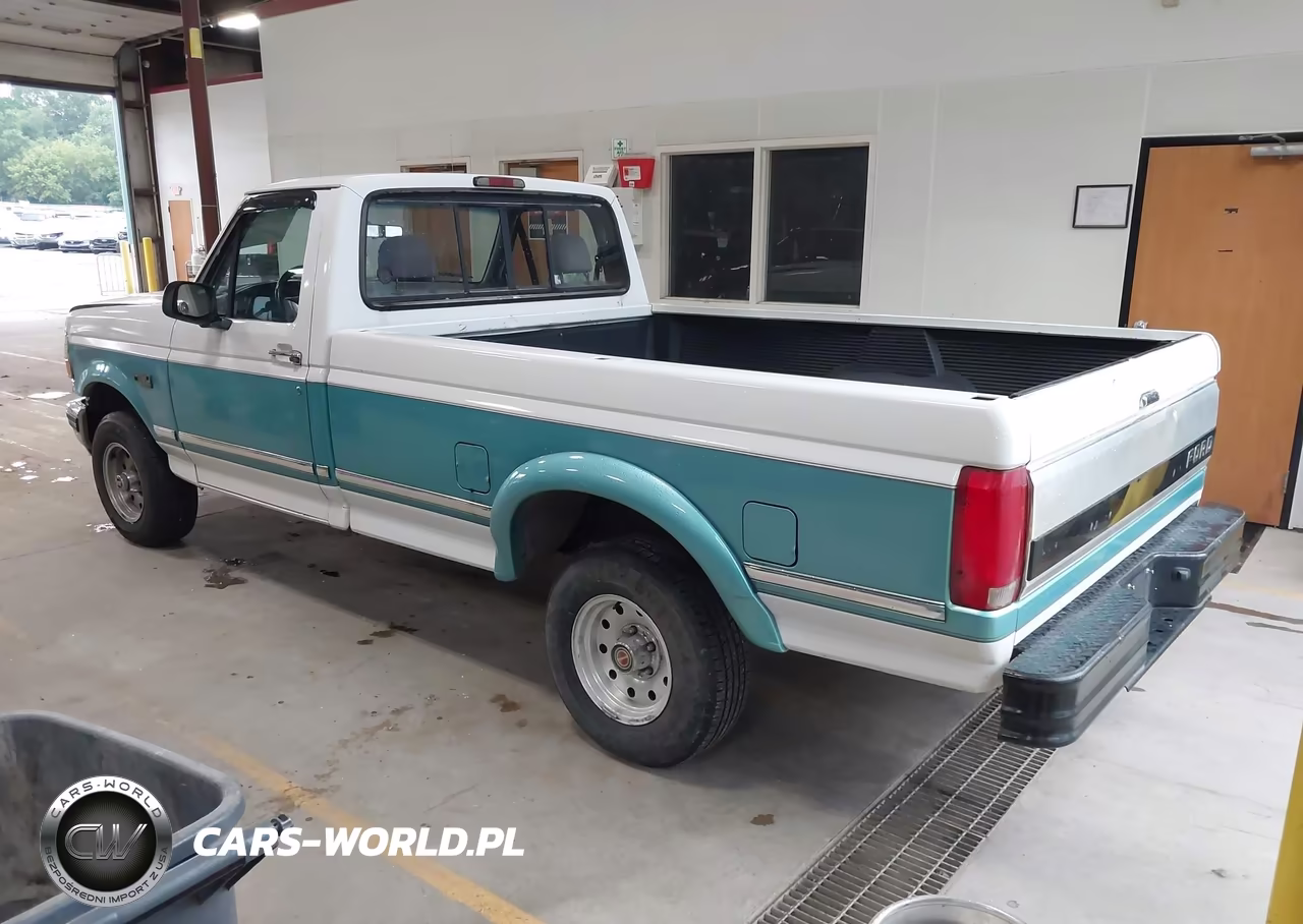 1994 Ford F150 VIN:1FTEF14N2RLA47493 - 3