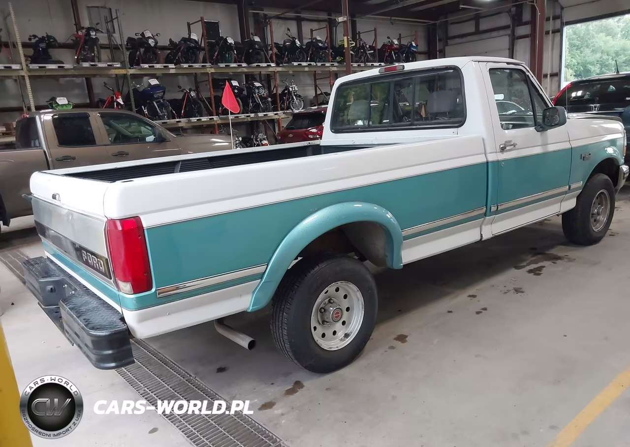 1994 Ford F150 VIN:1FTEF14N2RLA47493 - 4