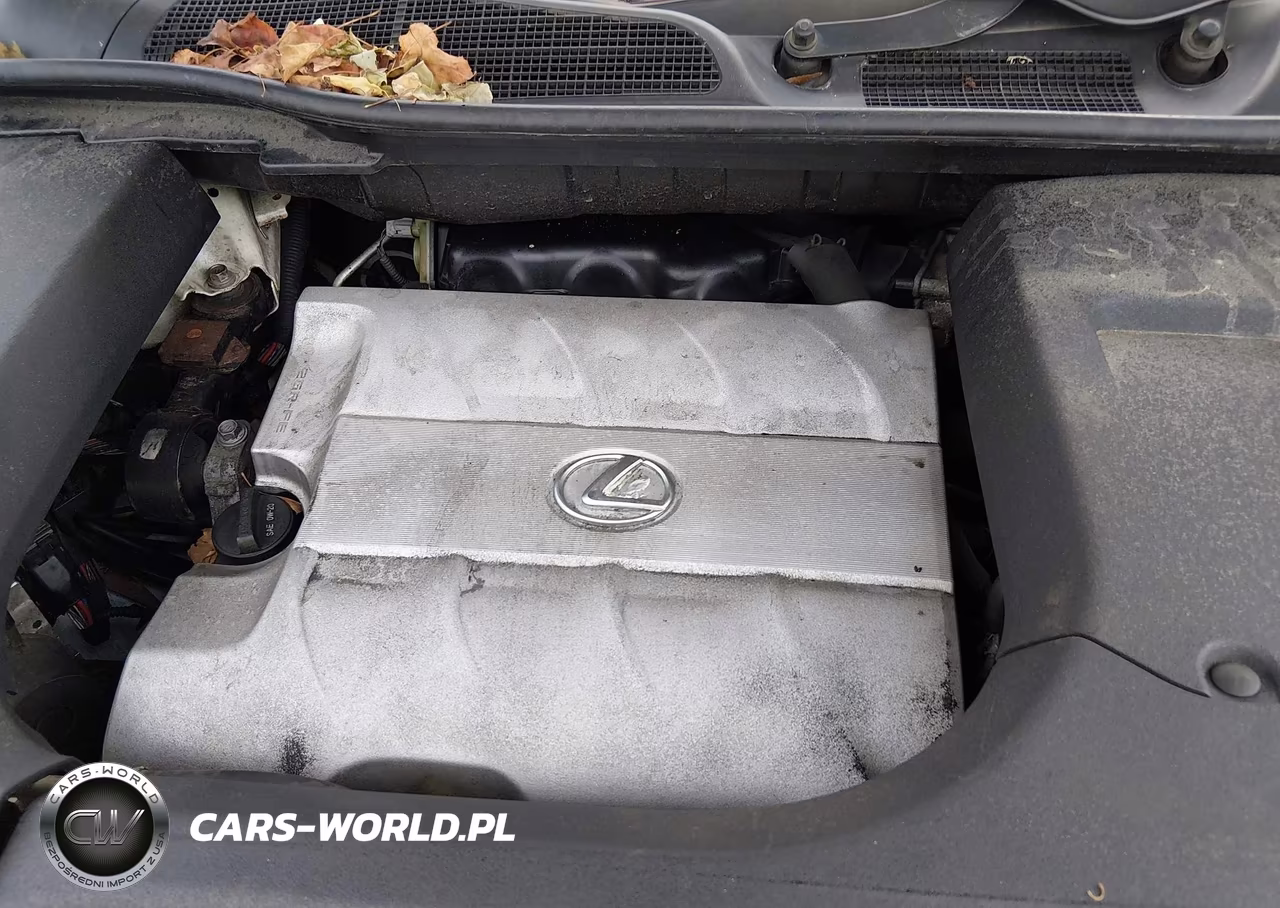 2013 Lexus Rx 350 VIN:2T2BK1BA9DC196669 - 10