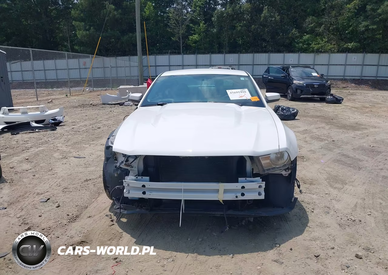 2010 Ford Mustang V6-V6 Premium VIN:1ZVBP8AN9A5176401 - 13