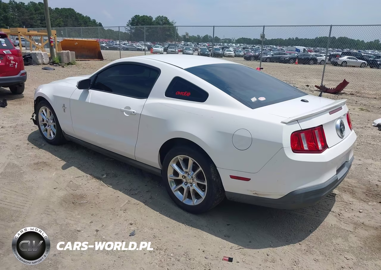 2010 Ford Mustang V6-V6 Premium VIN:1ZVBP8AN9A5176401 - 3