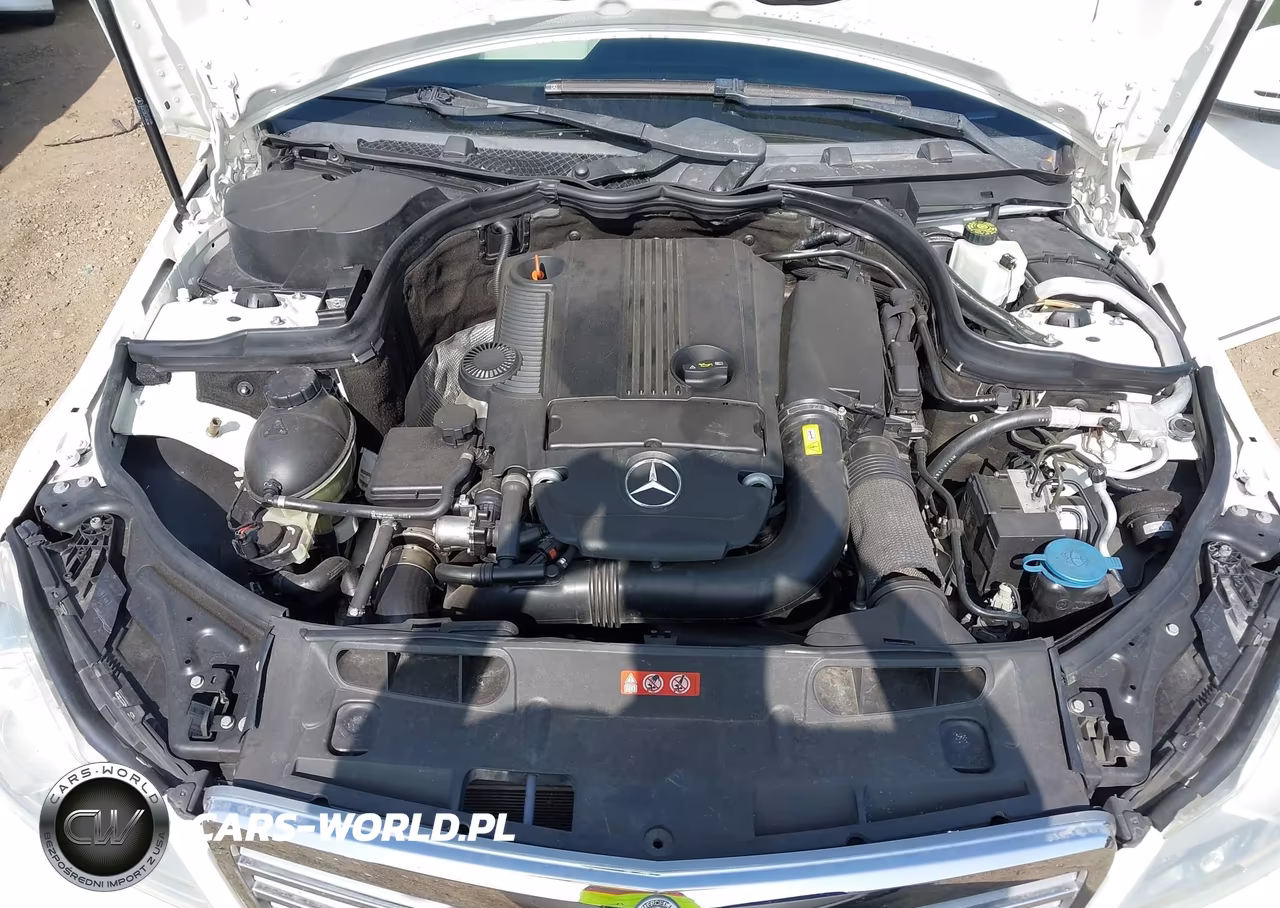 2012 Mercedes-Benz C 250 Luxury VIN:WDDGF4HB9CR222469 - 10