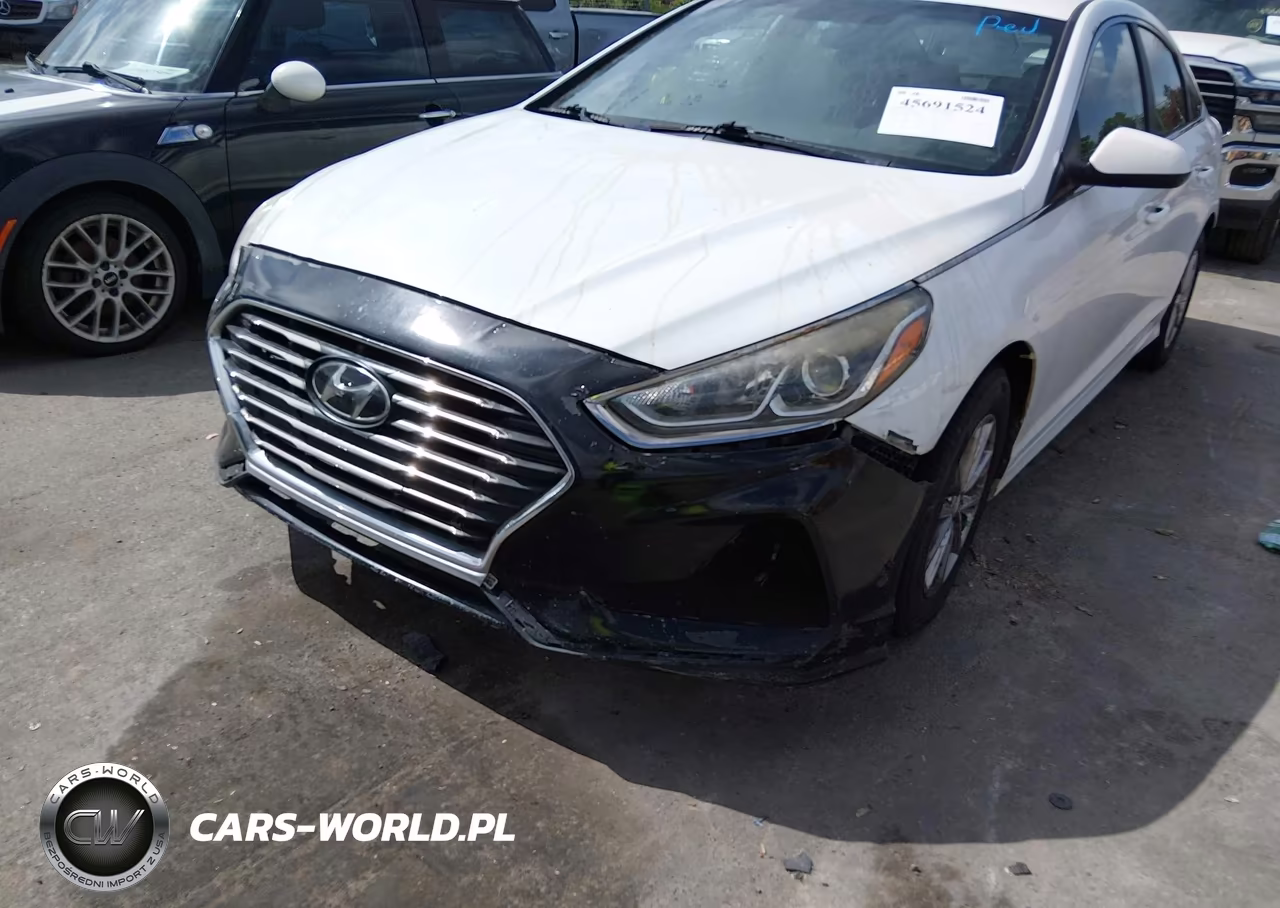 2019 Hyundai Sonata Se VIN:5NPE24AFXKH752045 - 18