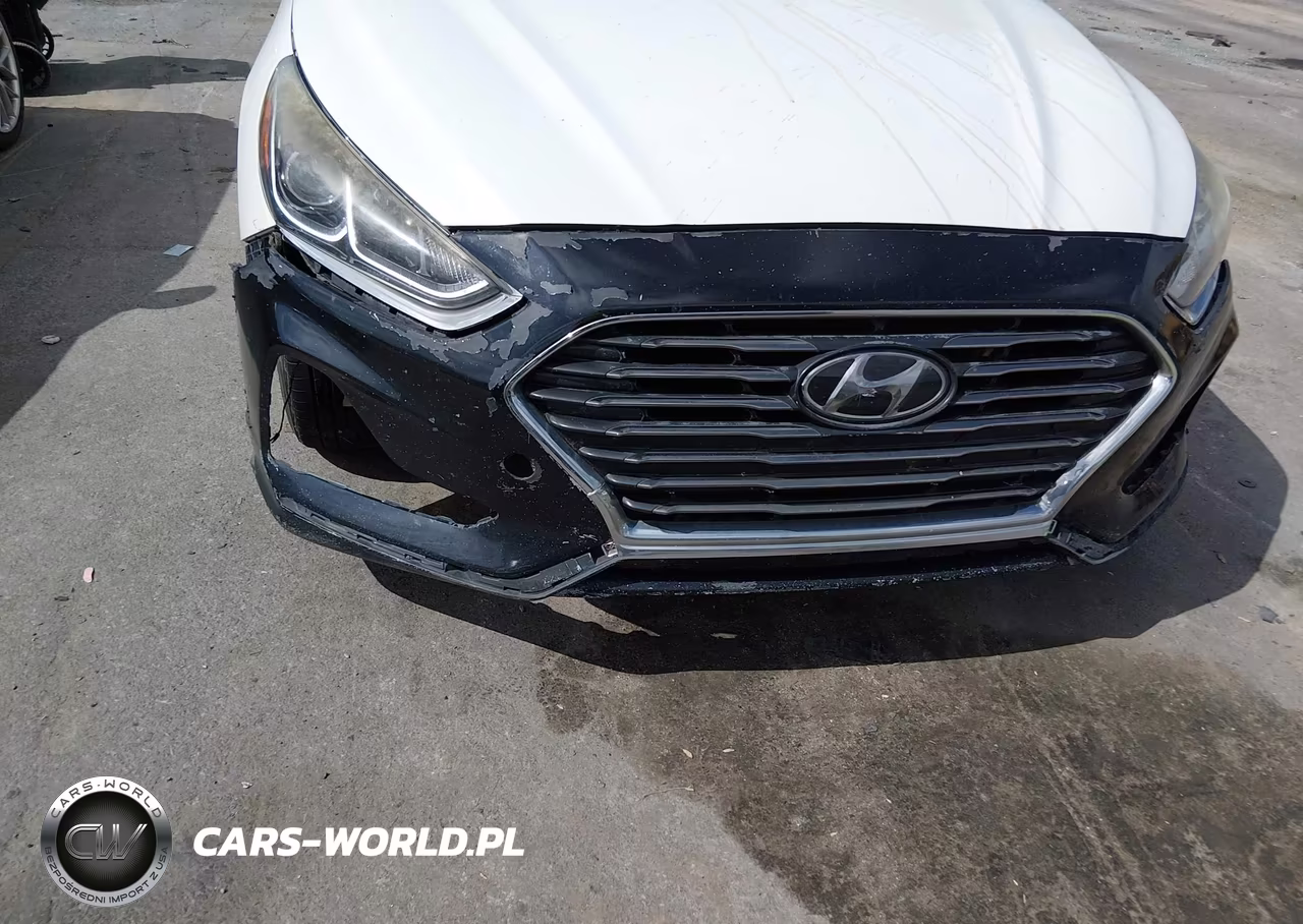 2019 Hyundai Sonata Se VIN:5NPE24AFXKH752045 - 19