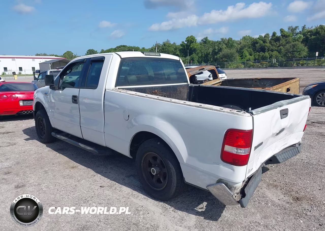 2004 Ford F-150 Stx-Xl-Xlt VIN:1FTRX12W24NB71996 - 3