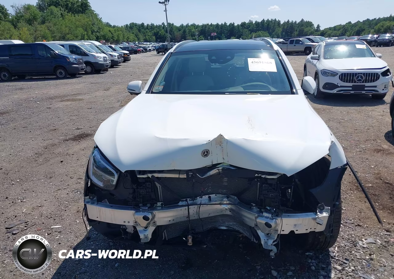 2020 Mercedes-Benz Glc 300 4Matic VIN:W1N0G8EB7LF803659 - 12