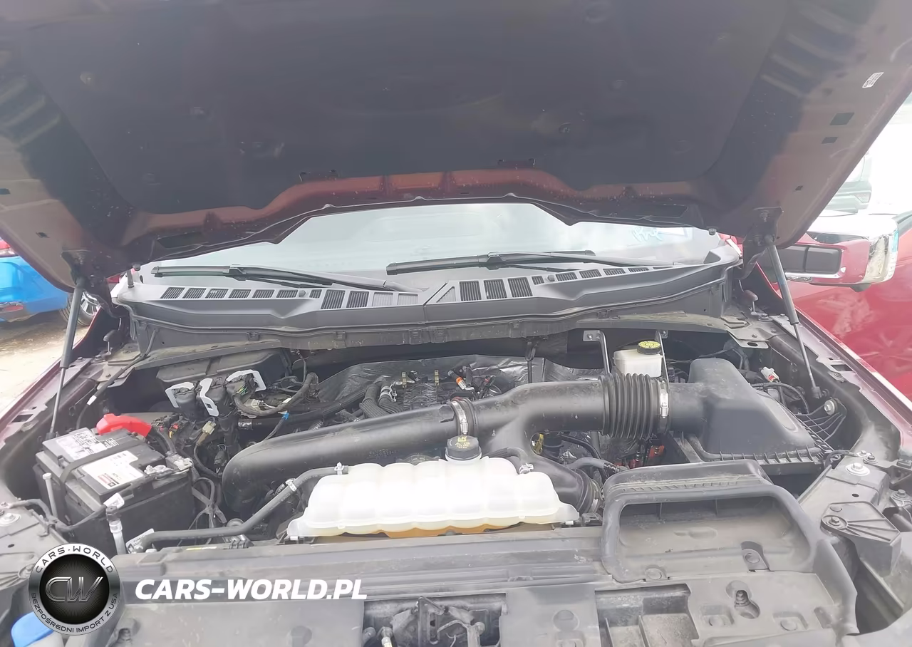 2024 Ford F-150 Xlt VIN:1FTFW3L87RKF80215 - 10